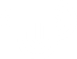 TimePulse Logo